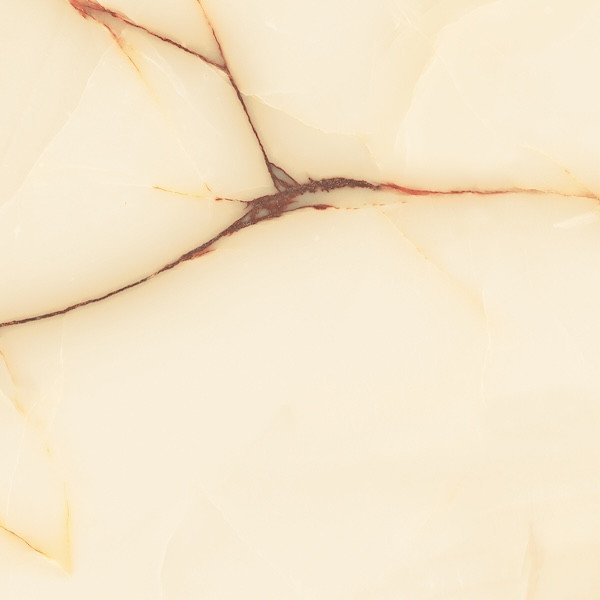 Photo-4