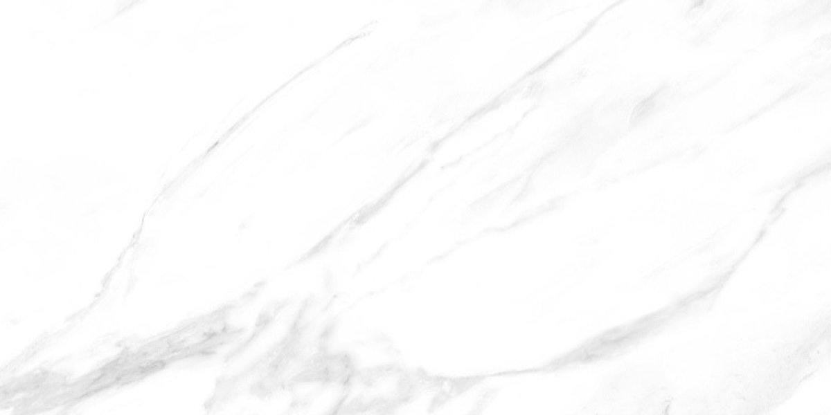 Photo-1