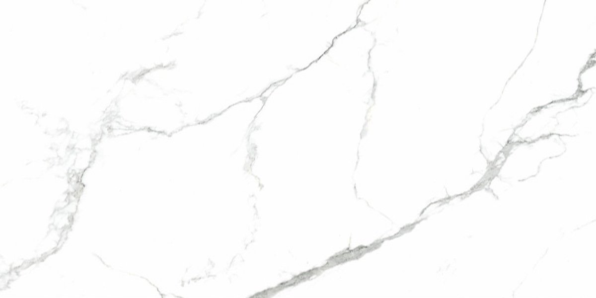 Photo-1