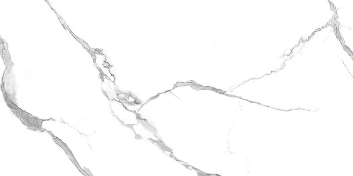 Photo-1