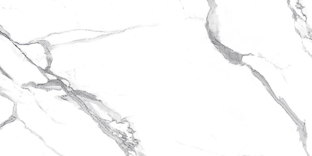 Photo-4