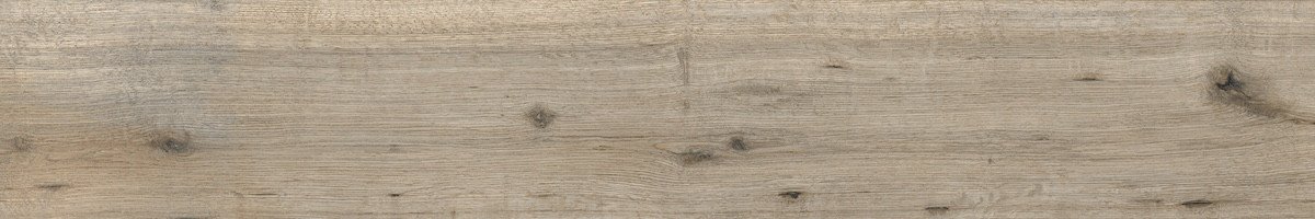 Photo-1