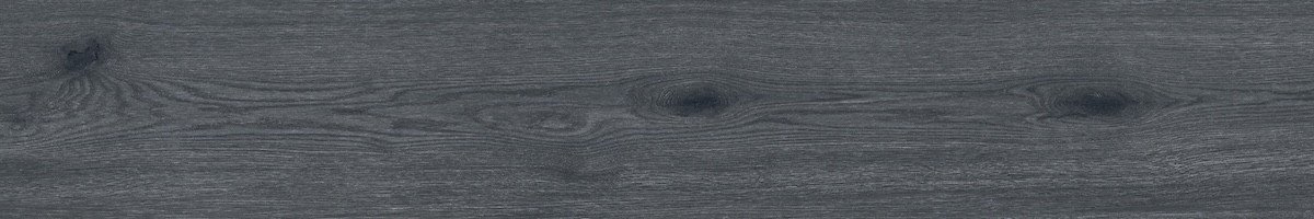 Photo-1