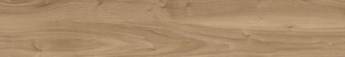 Photo-1