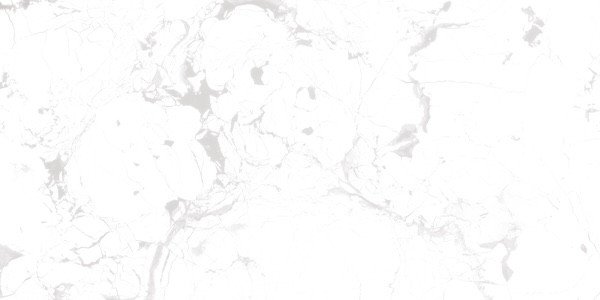 Photo-4