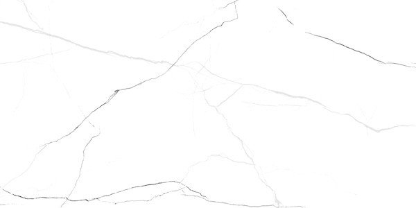 Photo-1