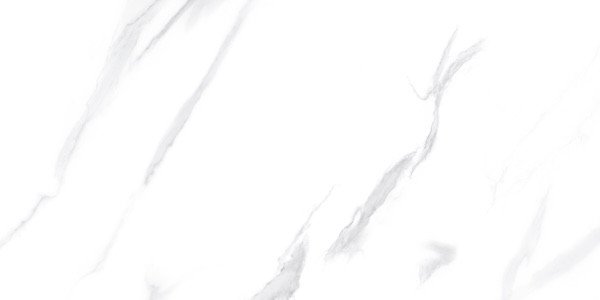 Photo-1
