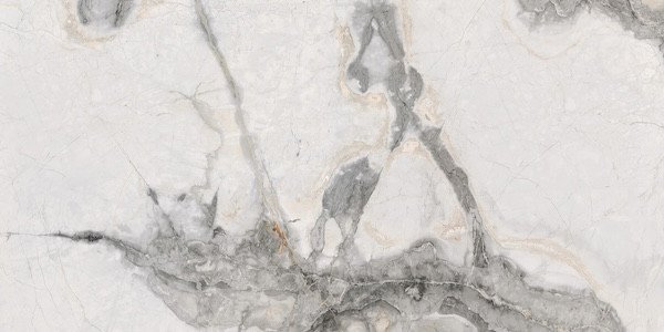 Photo-1